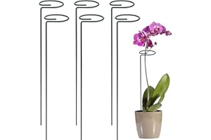 FT-SHOP Supporto per Piante Acciaio Supporto per Stelo Singolo da Giardino Anello di Supporto per Fiori e Ortaggi 6 Pezzi