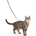 PetSafe Come With Me Kitty Harness and Bungee Leash, Harness for Cats, Small, Lilac/Bright Purple