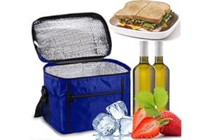 Borsa Termica, Sinwind Borsa Termica Porta Pranzo 10L Frigo Isoterma per Alimenti Mantenere Caldo o Freddo per PIC-nic/All'aperto/Barbecue/Campeggio/Eventi Sportivi, Blu