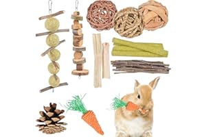 ZYXSQORAPHIC Jouets pour Petits Animaux, 10 Pièces Jouets à Mâcher pour Lapin Nain, Jouet à Mâcher en Bois Naturel pour Hamster, pour Le Soin des Dents, Jeux pour Lapin Chinchilla Hamsters Rat et Gerbille