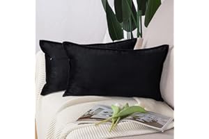 Madizz Pack of 2 Super Soft Velvet Decorative Cushion Covers with Fringe Luxury Style Cushion Case Pillow Shell for Sofa Bedroom Black 12x20 inch, 30x50 cm Rectangular