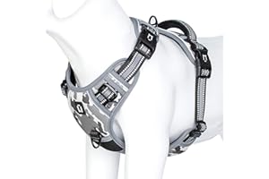 WALDSEEMÜLLER Harnais Chien Anti Traction, Réfléchissant Harnais De Chien Réglable Décourager Tirer Pet Gilet Durable en Nylon Harnais pour Chiens Moyen et Grand