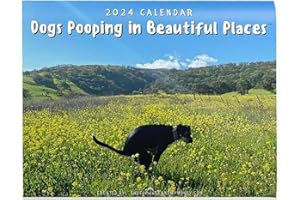 ZITUZY Calendario 2024 - Calendario de perros de caca | Calendario para perros - Dogs Pooping In Beautiful Places Calendar | Calendario para perros | Registra el calendario de crecimiento de un perro