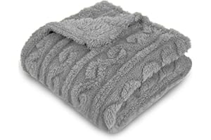 Homebliss Coperta Pile in Extra Morbido, Coperta Singolo Flanella Certificato Oeko-TEX®, Coperta Divano, Plaid Letto, Coperta Foulard, Copriletto, Copridivano (130 x 150 cm,Grigio Chiaro)