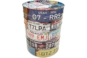 BLUECHOLON Hucha Original Diseño Barril Petróleo, Viajes. Hucha Grande para Adultos. Hucha Lata, Regalo. Hucha XL. (Bidón Matriculas, 16X12)