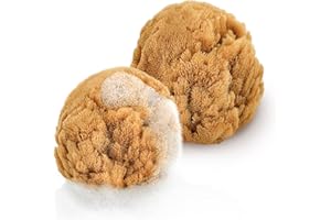 ‎TOM&PAT tom&pat Babyschwamm – 100% Naturschwamm aus dem Mittelmeer für Neugeborene, DERMATEST: SEHR GUT, Baby Schwamm direkt aus Griechenland, Baby Waschschwamm in Premiumqualität (2 x 7-10 cm)