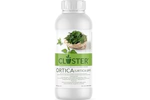 CLOSTER Macerato Di Ortica - Fertilizzante per Fertirrigazione - Antiparassitario Insetticida Naturale - Potenzia Le Difese Contro Insetti Parassiti Funghi Su Piante Orto Giardino Fiori Frutta (1 LT)