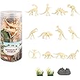 MACMERISE Galaxy Dinosaur Fossil Set - 15 Pieces | Realistic Fossils for Aspiring Paleontologists | Educational Toy for Learning & Exploration | Collectible & Giftable