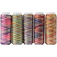 Multicolor Thread Set, 5 Spools of Polyester Thread Yard, Variegated Polyester Manual Machine Embroidery Sewing Thread 110m/120 Yard