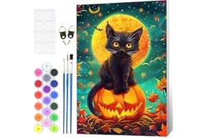 Fumupe Halloween Malen Nach Zahlen Erwachsene mit Rahmen, Malen Nach Zahlen Schwarze Katze, Diy Set Erwachsene mit Pinseln und Acrylfarben Handgemalt Ölgemälde Leinwand für Home Décor, 20x30cm