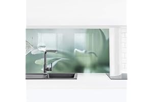 Bilderwelten Küchenrückwand Folie Glänzend 60x210 cm Schmetterling Pastellgrün Spritzschutz Fliesenspiegel Küche-Rückwand Motiv Klebefolie