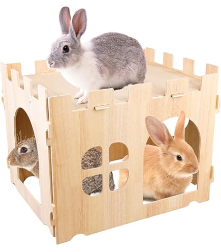 Sollbry Maison Cochon D'Inde, Maison Hamster, Cachette Pour Hamster
