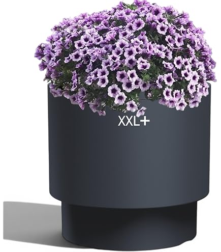 Pflanzkbel E&K, grau, rund  60 cm, Pflanztopf Blumentopf Kbel :  Amazon.de: Garten