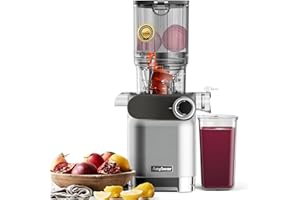 Anybear Entsafter, 200W Slow Juicer Kaltentsafter mit 110 mm großem Einfüllschacht für ganze Früchte/Gemüse | Upgraded Schnecke | Tritan-Material | BPA-frei | Inkl. Saftrezepte (Silber)