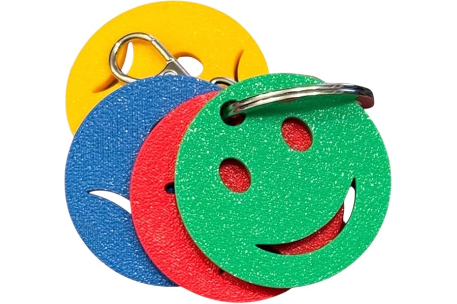 The Original Designed Emotions Regulation Keychain – 4 Colour Coded Mood Zone Discs Teaching Aid | Emotional Regulation and Management Tool for Kids & Adults | SEN Communication Tool/Accessory