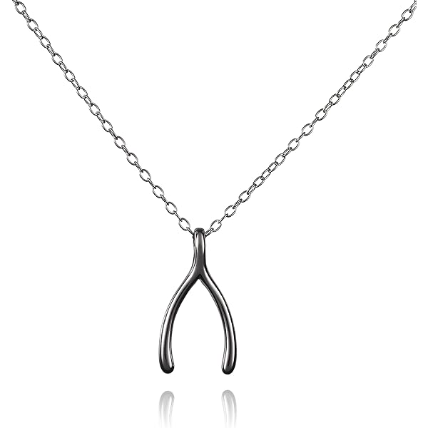 The Heart of Hearts Ring Houder Ketting Sterling Zilver Ketting Ring Houder Vrouwen Mannen Trouwring Beschermers Nep Parel Kettingen (Zilver, Eén maat), Zilver, Eén maat
