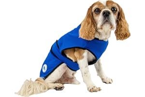 Ancol - Chaleco refrigerante para Perros