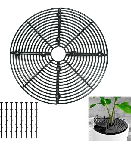 Grillage Protection Plante Kisbeibi Grille De Protection Contre La Terre Pour Pot De Protège Plante Chat Grillage Protection Plante Kisbeibi Grille De Protection Contre La Terre Pour Pot De Protège Plante Chat