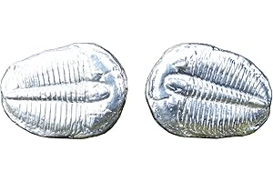 WILLIAM STURT FINE PEWTER Gemelos de Peltre Trilobite Fósil, Hecho a Mano por William Sturt en Francia