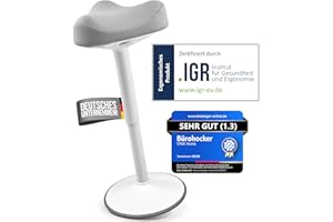 Vina Home SH-01 Ergonomic Office Stool [IGR Certified] | Stool Ergonomic Height Adjustable [58-83 cm] Ergonomic Stool for Work and Leisure | Swing Effect [Non-Slip] (Light Grey)