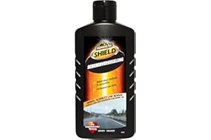 Armor All 20200L ALL SHIELD Scheibenversiegelung 200 ml GAA20200GE, regenabweisend, schmutzabweisend, schneeabweisend
