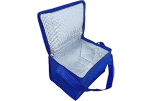 Shentian Pequeño refrigerador Bolsa Azul Almuerzo/Bolsas y Cajas más Frescas (Azul/Verde Bolsas más Frescas)