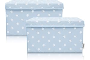 Lifeney Set de 2 Cajas de Almacenaje para Niños (37x25x21cm) I Cesta de almacenaje para la habitación y el salón de los niños I Caja de almacenaje para niños (Light Blue Star)