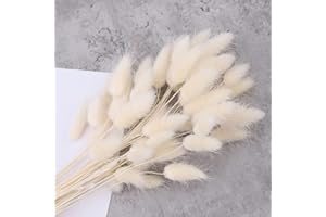 Hileyu 50 Stück 45cm Getrocknete Pampasgras Deko Pampasgras Getrocknet Lagurus Trockenblumen Strauß Dried Flowers, Blumendekoration, für Blumen Arrangements Heim Decor (50Pcs White)