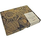 Magic Garden Seeds Mediterranes Kräuterbeet - Samen-Geschenkset mit 5 typischen aromatischen Pflanzen des Mittelmeerraums