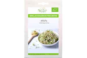 ALFALFA 90g - Semillas certificadas para germinar. Semilla para brotes, germinados y microgreen Bueno Bonito Biológico