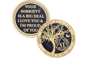 LParkin Pièce de sobriété de 6 ans, pièce de monnaie arbre de vie, pièce de monnaie AA de 6 ans, cadeau de sobriété pour homme et femme, jeton d'anniversaire de sobre, médaillon alcooliques anonymes