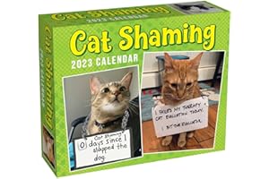 ANDREWS MCMEEL PUBLISHING Cat Shaming 2023 Day-to-Day Calendar