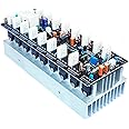 AUDIO LITE 700W RMS Mono Amplifier Board Using C5198 + A1941 With Speaker Protection (700W Complete RQ-2)
