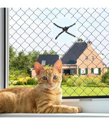 Filet De Protection Pour Balcon Chat - 3 X 8 M, Transparent, Nylon Résistant - Sans Perçage, Pour Fenêtres, Terrasses, Escaliers