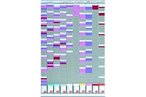 Nobo - Kit Planning Mural à Fiches T, Polyvalent, 10 Colonnes & 54 Fentes, Indice 2, Fiches T Multicolores & Index Inclus, 2901000