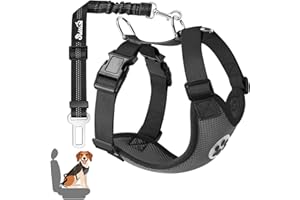 SlowTon Ensemble de Harnais et Laisse de sécurité de Voiture, Multifonction Tissu Réglable Respirant Gilet Ordinaire Harnais avec Ceinture De Sécurité en Voiture Route Voyage Promenade