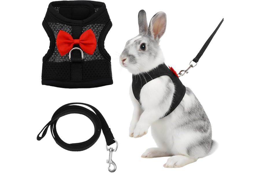 Elegaperma Rabbit Harness and Lead Set, Easily Adjustable Rabbit Harness Leash for Small Animals, Rabbits Harnes and Leashes for Proof Safely Walking Cute Bow Vest and Leashes, Black, Small