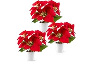 ‎PASCH PASCH® Weihnachtsstern künstlich in Hochglanz-Keramiktopf (18cm, 3er Set) | Künstlicher Weihnachtsstern im Topf | Künstliche Weihnachtssterne | Kunstblumen im Topf | Kunstblumen Weihnachten