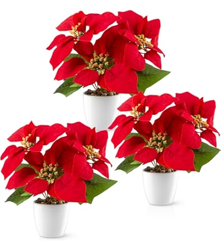 Kerstboeket bezorgen in Sint-Oedenrode – Kerstbloemen, Kerststukken & Cadeaus