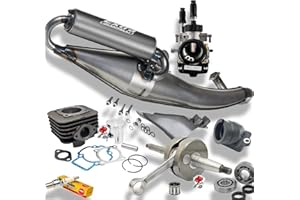 LG-MOTORS POWER ENGINEERING Kit completo cilindro eje silenciador Piaggio 70 cc ø47 2T Aire AC Vespa LX ET2 Zip NRG Typhoon Stalker MC3