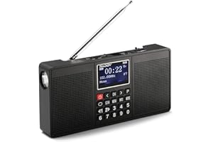 RADIODDITY Raddy RD33 Radio Portatile DAB/DAB+, Radio Digitale Ricaricabile FM da Cucina, Riproduzione di Musica MP3, Supporto Bluetooth, Scheda SD, Chiavetta USB, con Altoparlante Stereo da 3 W