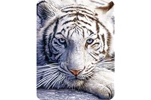 ‎DELUXEBASE 3D LiveLife Magnet - Weiße Tigerruhe von Deluxebase. Linsenförmige 3D Große Katze Kühlschrankmagnet. Dekoration für Kinder und Erwachsene mit Kunstwerk lizenziert von bekannt Künstler, David Penfound