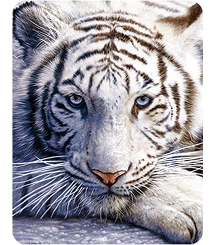 Aimant Décoratif 3D LiveLife Deluxebase Aimant Frigo 3D Pingouin LiveLife - Magnet Lenticulaire Puissant, Illustration Robert Hautman, Décoration Enfant & Adulte Aimant Décoratif 3D LiveLife Deluxebase Aimant Frigo 3D Pingouin LiveLife - Magnet Lenticulaire Puissant, Illustration Robert Hautman, Décoration Enfant & Adulte