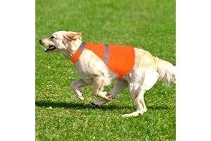 Warnweste Hund mit reflektierenden Elementen für Outdoor Aktivitäten Tag und Nacht, Verstellbar Sicherheitsweste für Hunde für Hält den Hund Sichtbar mehr Sicherheit im Dunkeln Orange