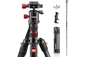 CAMOLO 75" Camera Tripod DSLR Tripod for Travel Aluminum Camera Tripod Monopod 360° Panorama Ball Head with Quick Release Plate Professional Tripod with Carry Bag Phone Mount w Cold Shoe 33 lbs Load