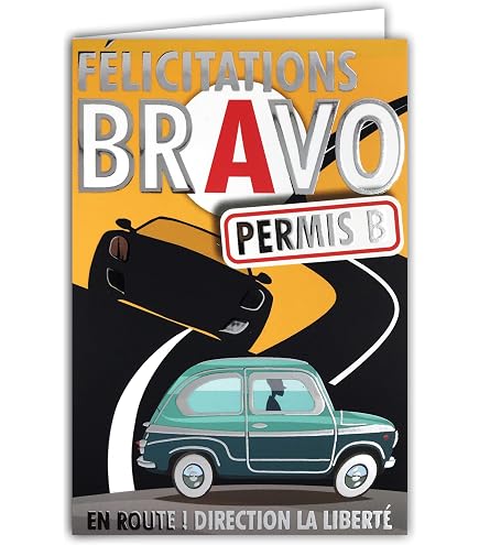 Piccadilly Greetings Glückwunschkarte Zum Führerschein - 'Congratulations Driving Test' Mit Hund Im Auto