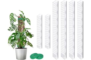 MIXC Moosstab Rankhilfe Zimmerpflanzen 4 Stück 61cm und 2 Stück 38cm Pflanzstab Plastik Pflanzenstütze mit 3m Pflanzenbänder Klett für Monstera Kletterpflanzen
