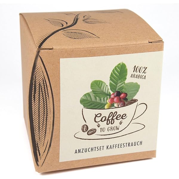 Grappige positieve koffie, emotionele ondersteuning gehaakte pop met kaart, charme sleutelhanger, aanmoediging cadeau, koffieliefhebbers verjaardagscadeaus voor haar, hem, vriend, collega