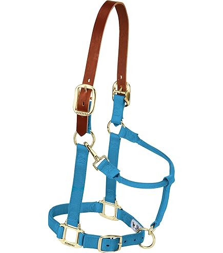 Licol Hamilton Nylon Bleu Premium Pour Cheval Moyen (800-1100 Lbs) - Quincaillerie Laiton, Western