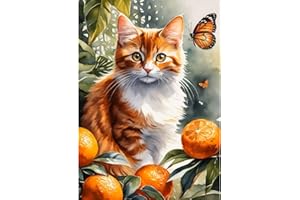 QENSPE Chat Orange Diamond Painting Broderie Peinture Diamant Kit Complet, 5D Rond Diamant Painting Tableau Papillon pour Adulte Enfant Strass Point de Croix Decoration Chambre Murale 30x40cm
